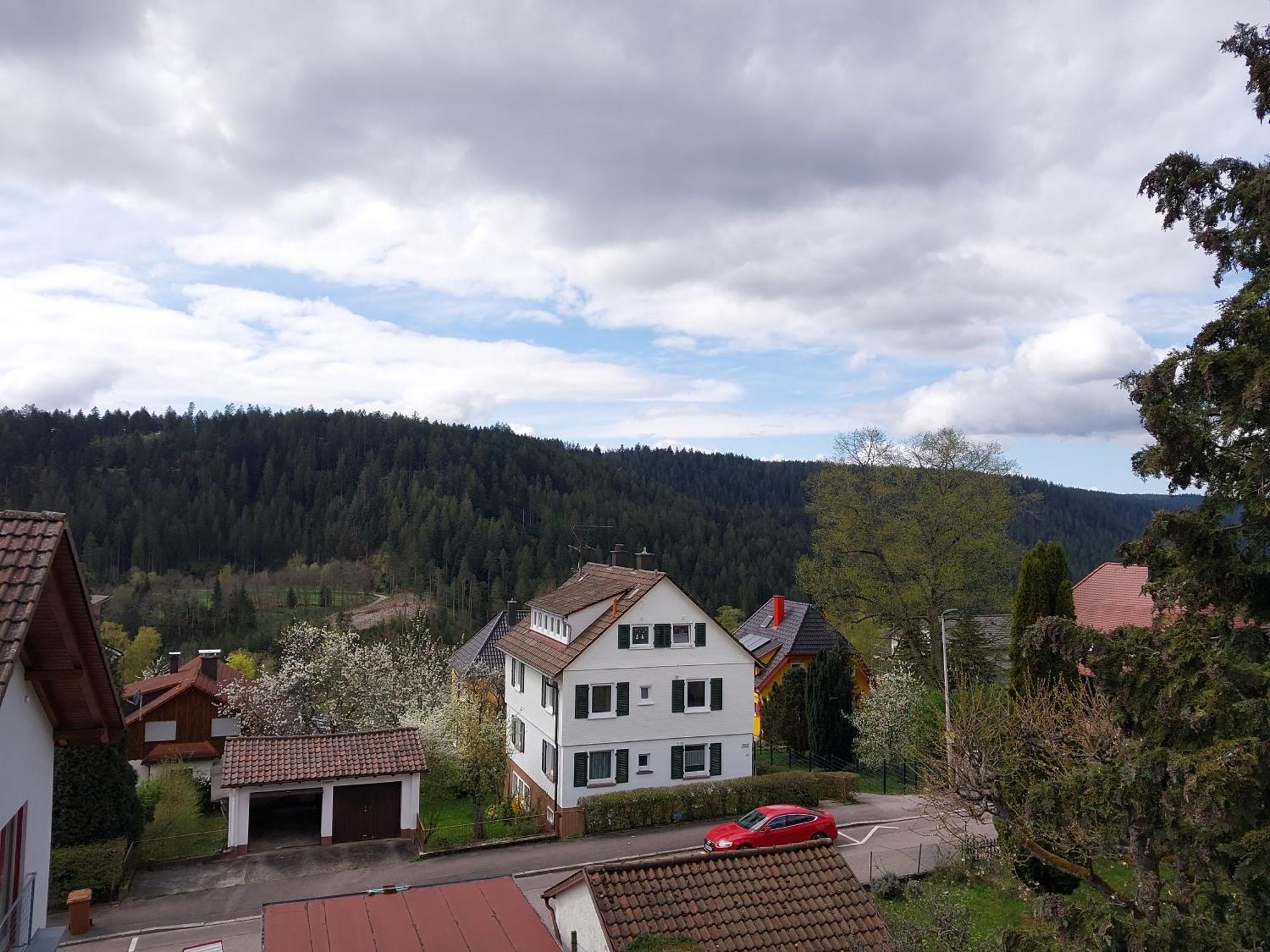 Fewo Salenberg フロイデンシュタット エクステリア 写真